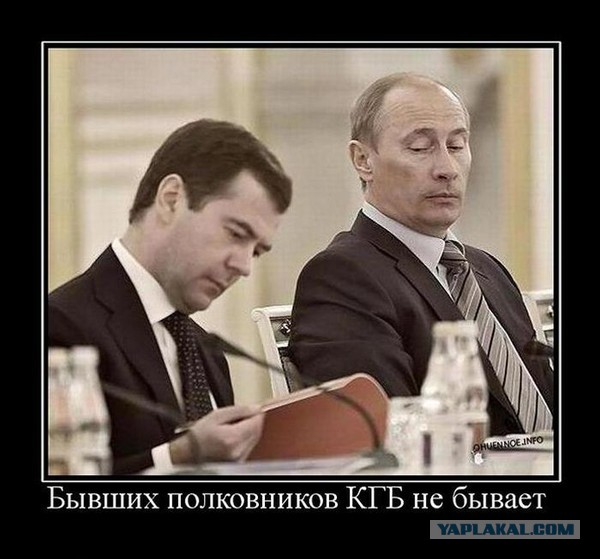 Либералы получили «черную метку»?