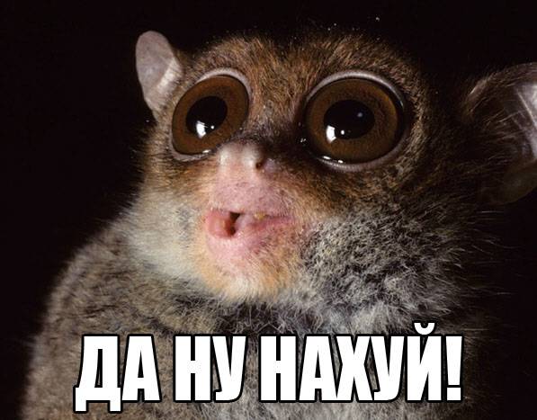Вы, бурят? Очень рад!